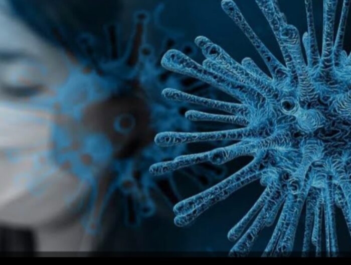 Ilustrasi Virus HMPV. Foto (Ist).