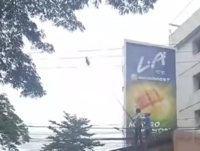 Seorang warga Kota Makassar mengalami kecelakaan setelah tersengat listrik saat mencoba menyelamatkan burung yang terjebak di atas kabel telanjang. Foto (Ist).