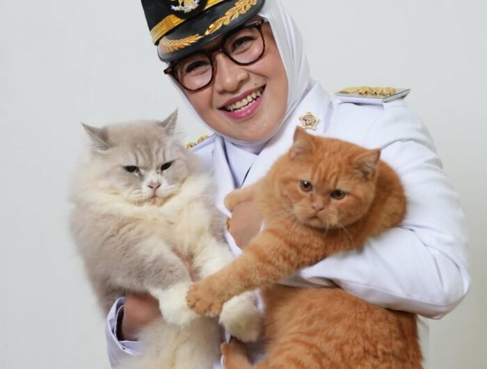 Husniah Talenrang, Bupati Gowa Terpilih, bukan hanya dikenal sebagai sosok pemimpin yang mengukir sejarah, akan tetapi juga sebagai seorang pecinta kucing. (Ist)