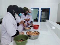 Dosen dan Mahasiswa Prodi Kimia UM Bulukumba Raih Hak Paten atas Inovasi Glukosa Cair dari Limbah Biji Alpukat.