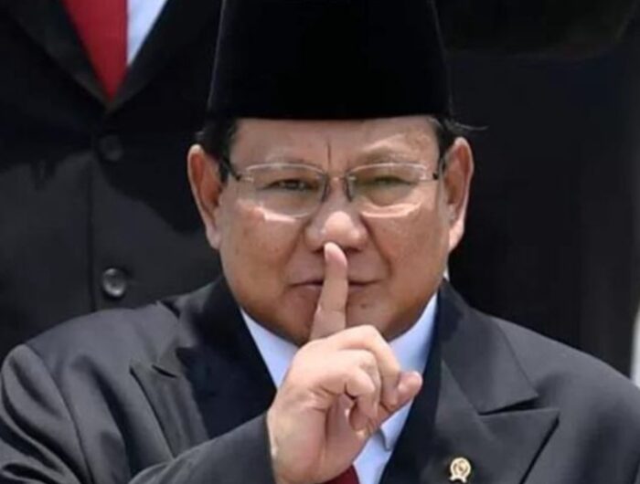 Presiden RI terpilih Prabowo Subianto. (Foto: Ist/Net).