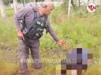 Seorang pegawai honorer Pemerintah Kabupaten (Pemkab) Yahukimo, Joy Jonathan Boroh (24), ditemukan tewas dengan sejumlah luka tusuk di Distrik Dekai, Jumat (4/7/2025) sore.