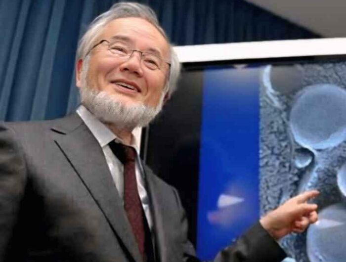 Tubuh Bisa "Makan Diri Sendiri" untuk Sembuh: Ini Fakta Mengejutkan Tentang Autophagy