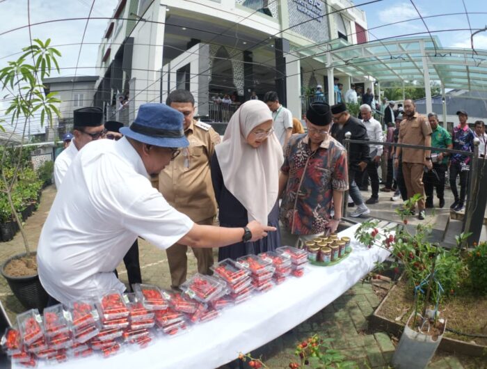 Siapa Sangka! Katokkon Dikira Strawberry Oleh Aslam