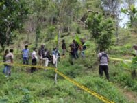 Satuan Reserse Narkoba Polres Bulukumba berhasil mengungkap ladang ganja di Lingkungan Bangsalayya, Kelurahan Borong Rappoa, Kecamatan Kindang, Kabupaten Bulukumba, Sulawesi Selatan (Sulsel).