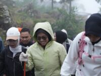 Bupati Gowa, Husniah Talenrang tanam pohon di Gunung Bawakaraeng